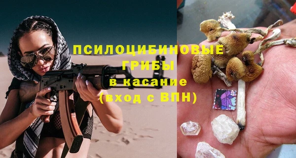 ешки Алзамай