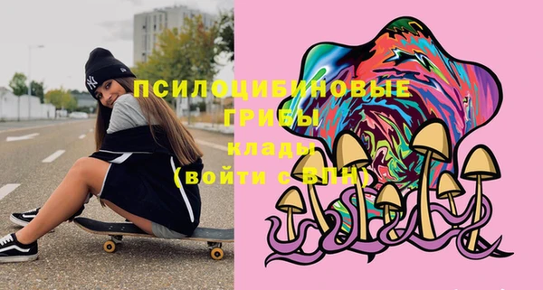 ешки Алзамай