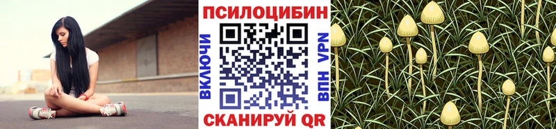 Псилоцибиновые грибы Cubensis  Анапа 