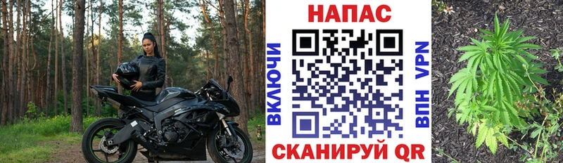 Каннабис марихуана  Анапа 